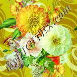 Colour:K