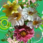 Colour:A