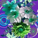 Colour:C