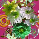 Colour:D