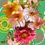 Colour:J