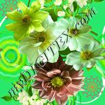 Colour:K