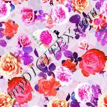 Colour:B