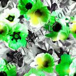 Colour:D