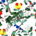Colour:A