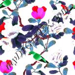 Colour:B