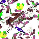 Colour:D