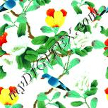 Colour:K