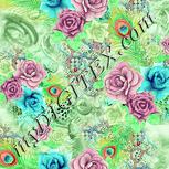 Colour:K