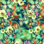 Colour:K
