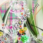 Colour:B