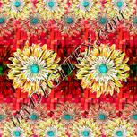 Colour:C