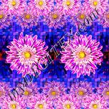 Colour:J