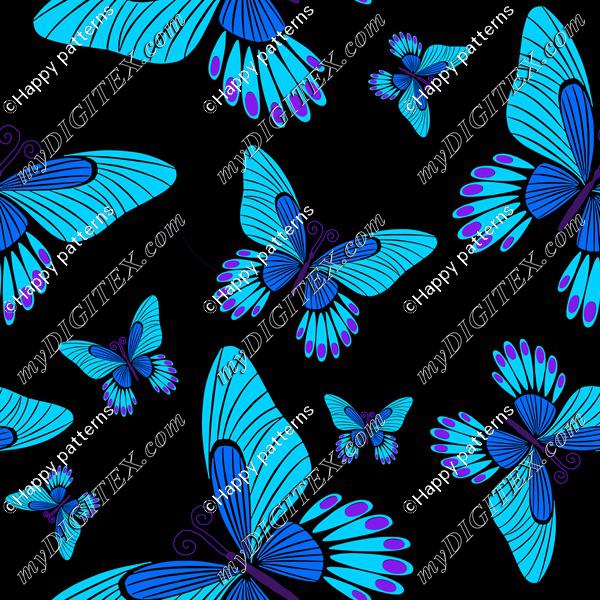 Blue morpho butterflies