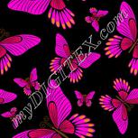 Colour:C