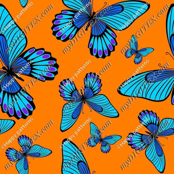 Blue butterflies on orange