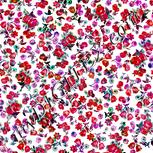 Colour:B