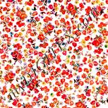 Colour:J