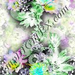 Colour:D