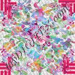 Colour:B