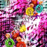 Colour:B