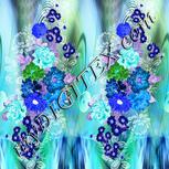 Colour:F