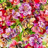 Colour:A