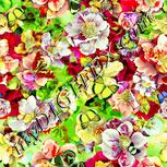 Colour:K