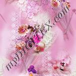 Colour:B