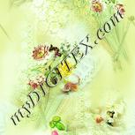 Colour:K