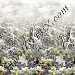 Colour:A