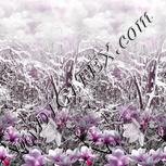 Colour:B