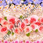 Colour:J