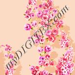 Colour:J