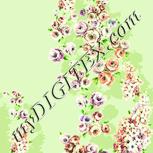 Colour:K