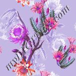 Colour:B