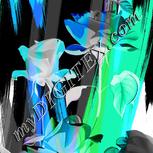 Colour:F