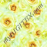 Colour:K