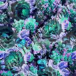 Colour:F