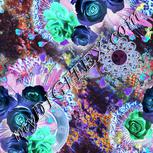 Colour:F