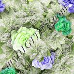 Colour:D