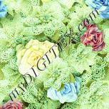 Colour:K