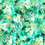 Colour:K