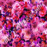Colour:B