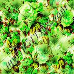 Colour:D