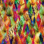 Colour:A