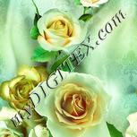 Colour:K