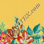 Colour:A