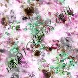 Colour:B