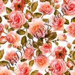 Colour:J